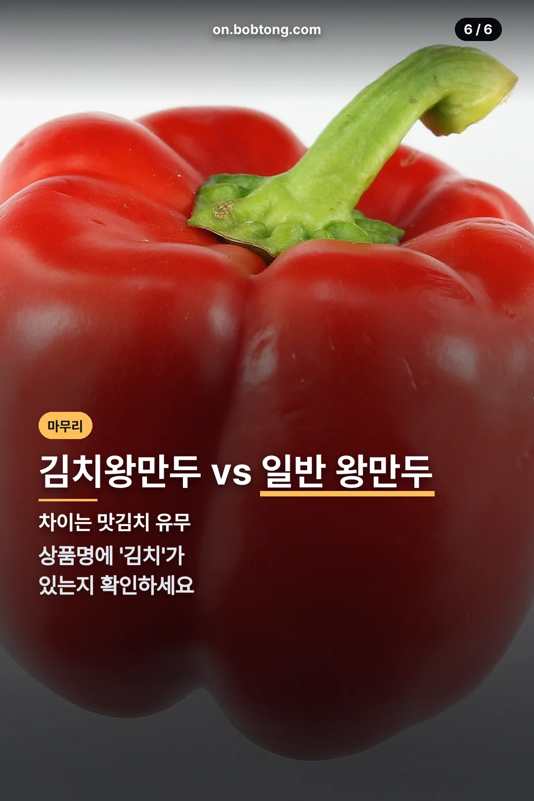 김치왕만두 vs 일반 왕만두