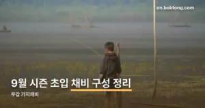 쭈갑 가지채비 정리 썸네일