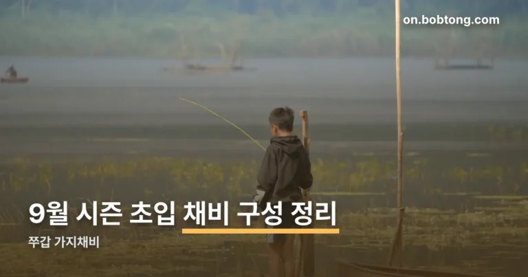 쭈갑 가지채비 정리 썸네일