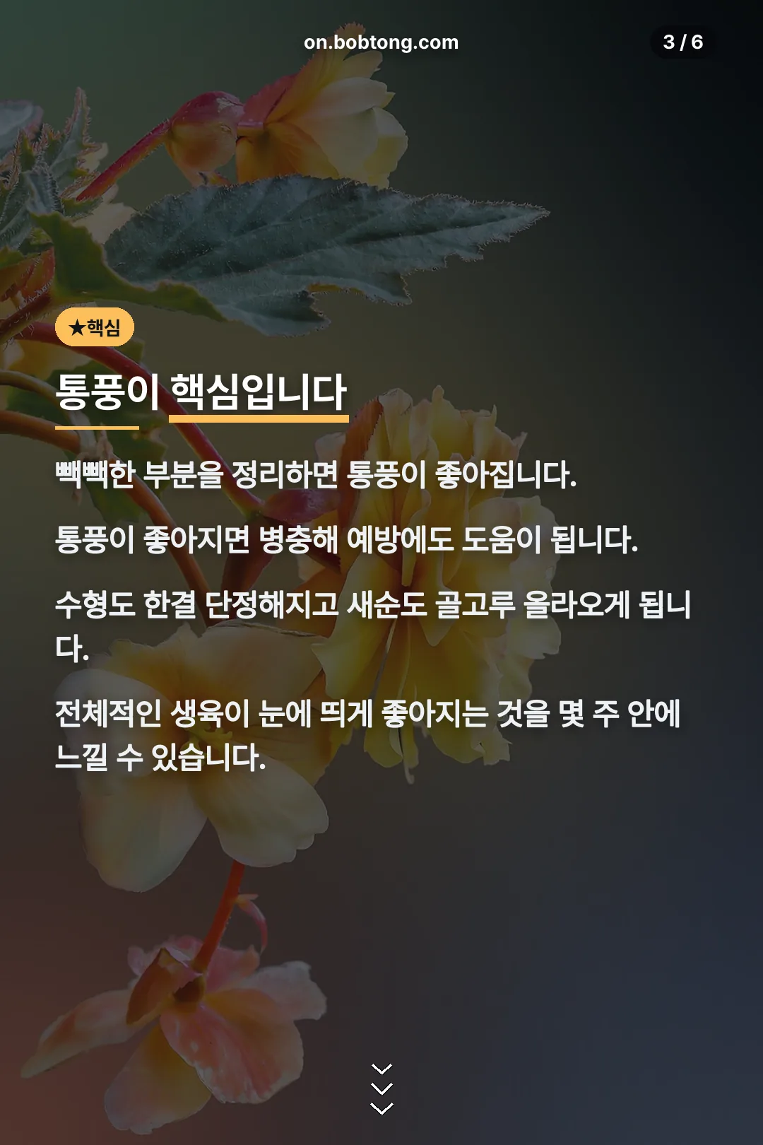 통풍이 핵심