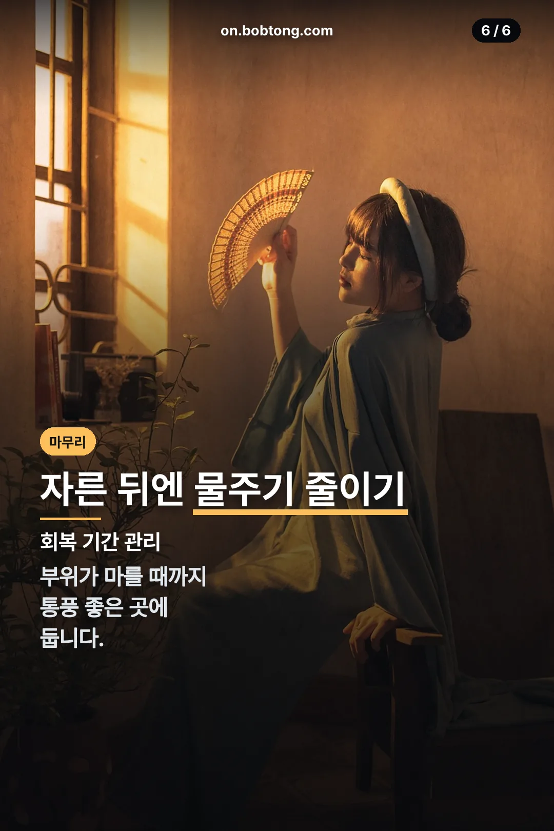 가지치기 후 관리