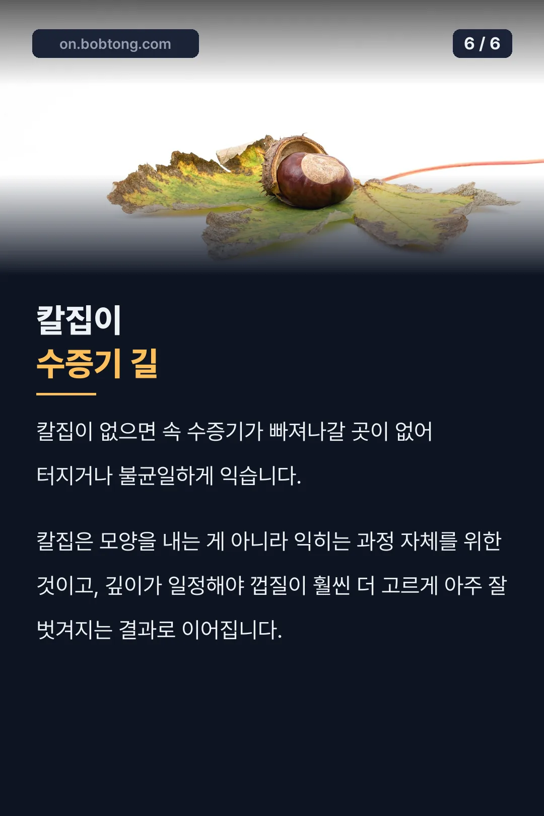 칼집의 조리 원리
