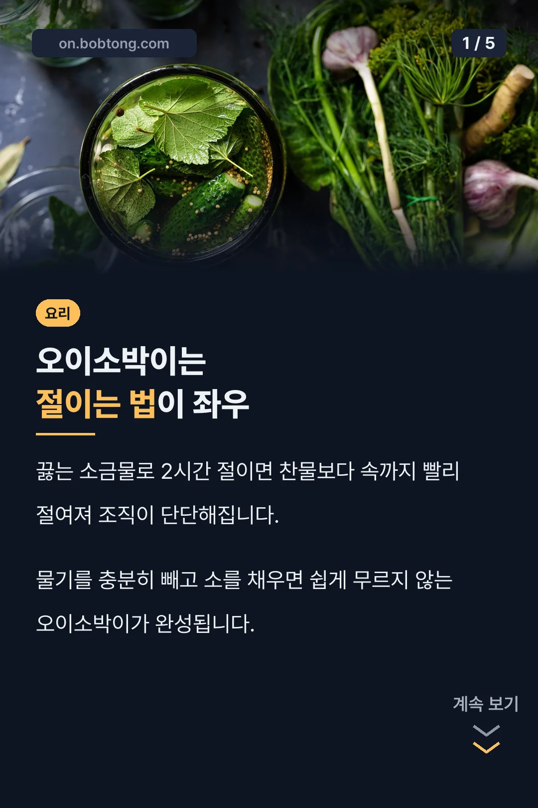 오이소박이 표지